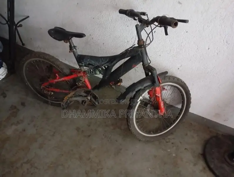 Mountain Bicycle