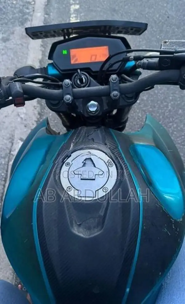 Yamaha FZ25 2018
