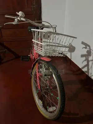Ladies Bicycle