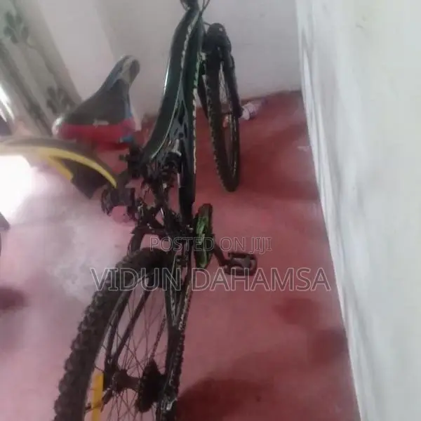 Bicycle