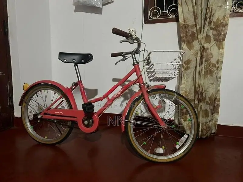 Ladies Bicycle