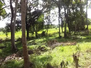 Land for Sale in Srawasthipura