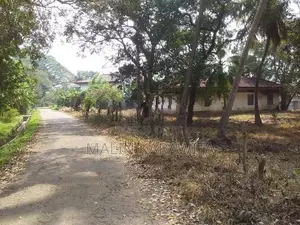 Land for Sale in Srawasthipura