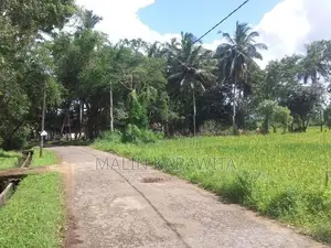 Land for Sale in Srawasthipura