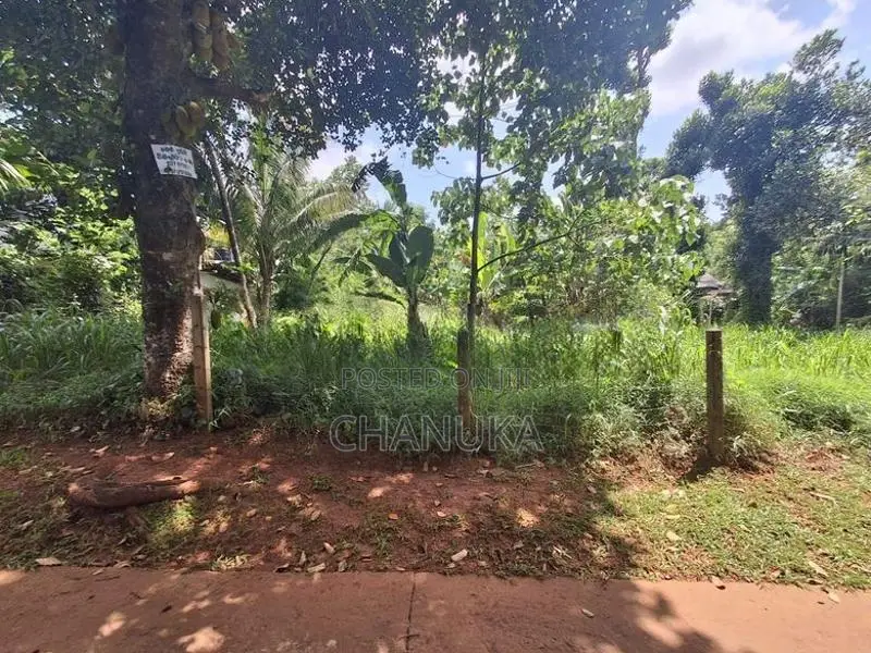 මාතලේ Land for Sale