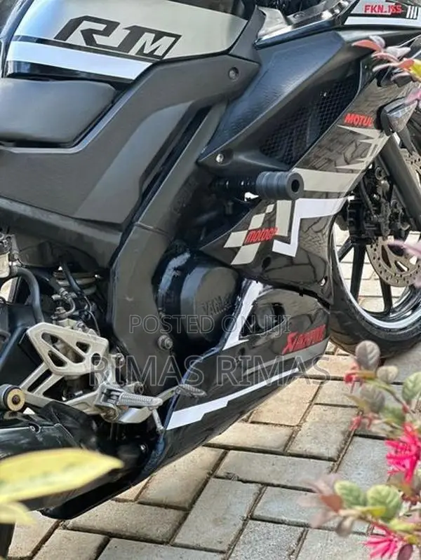 Yamaha R15 2019