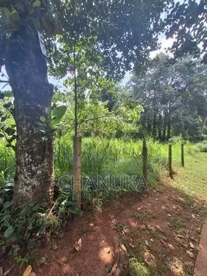 මාතලේ Land for Sale