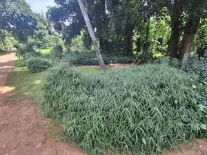 මාතලේ Land for Sale