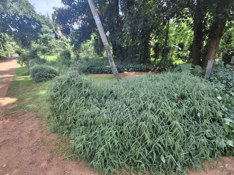 මාතලේ Land for Sale