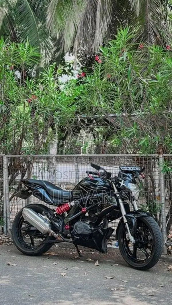 Demak Warrior 2019