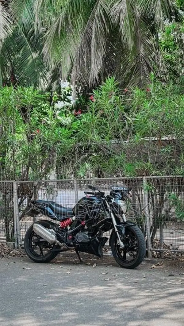 Demak Warrior 2019