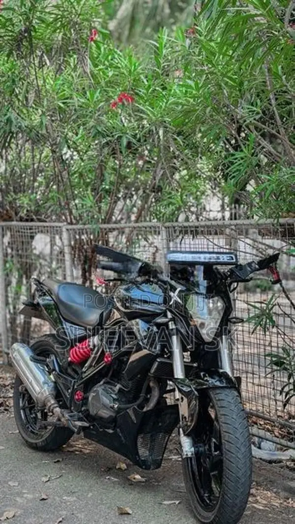 Demak Warrior 2019
