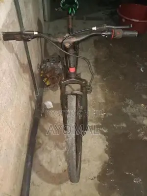 පාපැදියක්