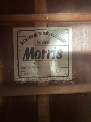 Morris W-15 Acoustic Guitar