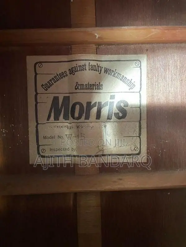 Morris W-15 Acoustic Guitar