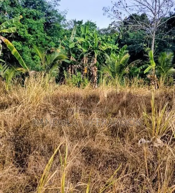Land for Sale Monaragala