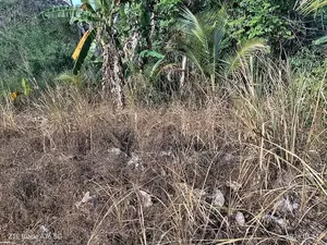 Land for Sale Monaragala
