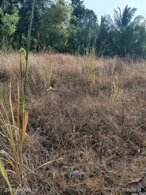Land for Sale Monaragala