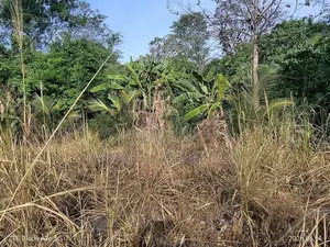 Land for Sale Monaragala