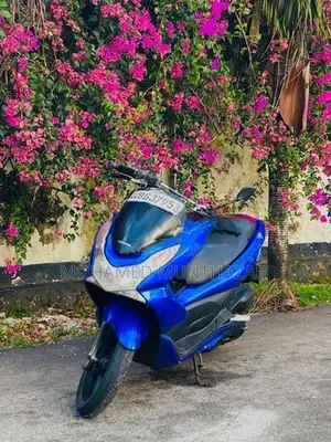 Honda PCX 2018