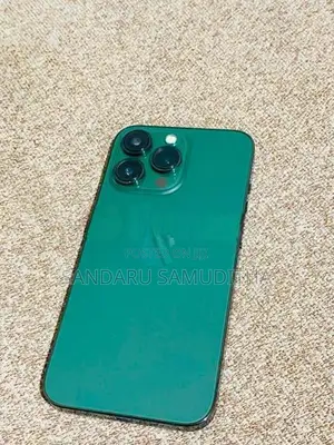 Apple iPhone 13 Pro (Used)