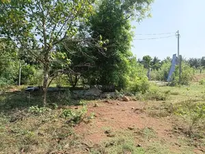 Land for Sale Hospital Road Mulankavil