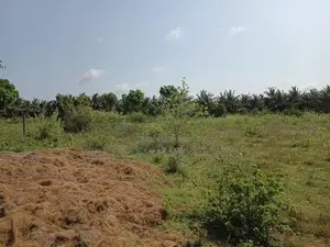 Land for Sale Hospital Road Mulankavil