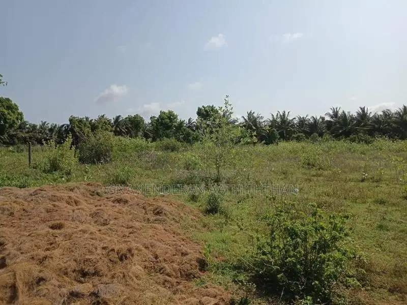 Land for Sale Hospital Road Mulankavil
