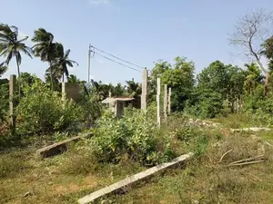 Land for Sale Hospital Road Mulankavil