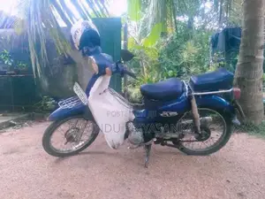 Ranomoto Supercub 2016