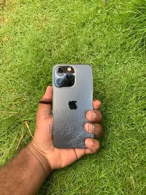 Apple iPhone 13 Pro (Used)