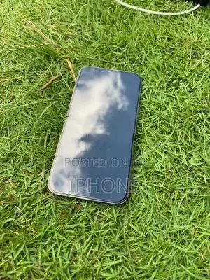 Apple iPhone 13 Pro (Used)