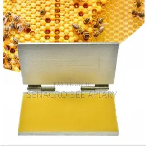 Pure Bee Wax