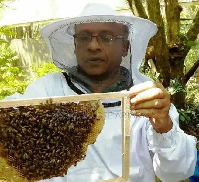 Pure Bee Wax