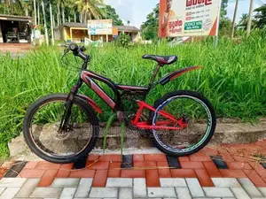 Mountain Bicycle