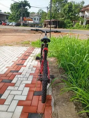 Mountain Bicycle
