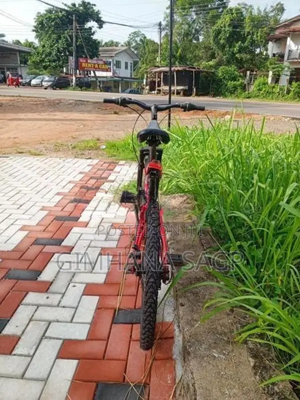 Mountain Bicycle