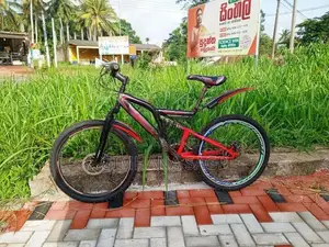 Mountain Bicycle