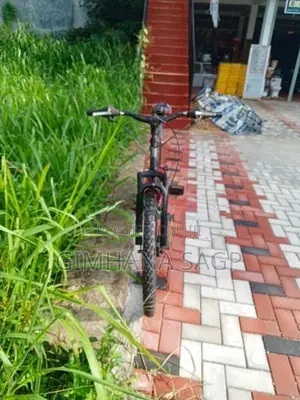 Mountain Bicycle
