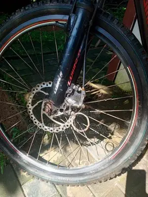 Mountain Bicycle