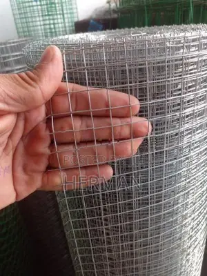 Welded Galvanized Mesh