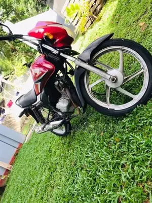 Honda AX1 2013