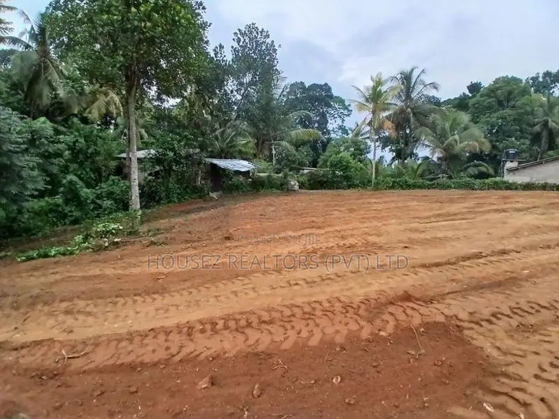 Valuable Land for Sale in Hanwella, Colombo