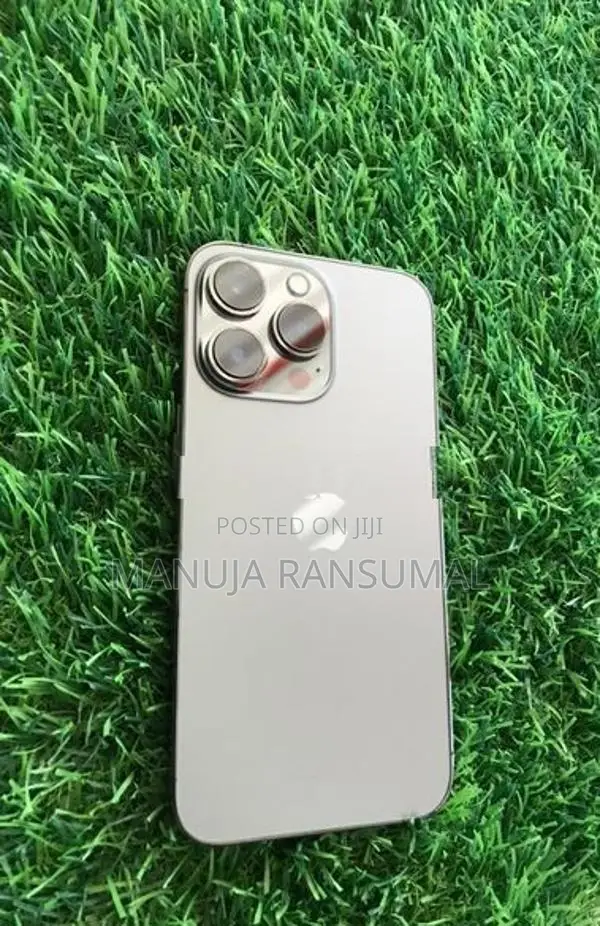 Apple iPhone 13 Pro (Used)