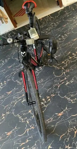 Japan bicycle