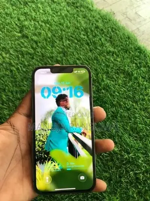 Apple iPhone 13 Pro (Used)