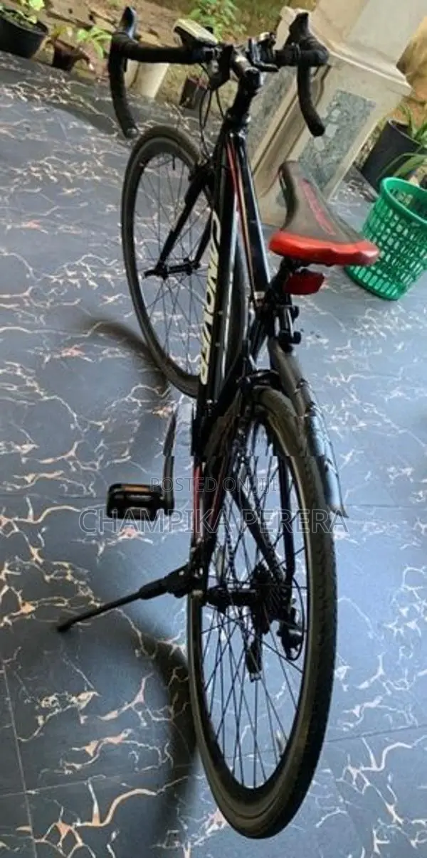 Japan bicycle
