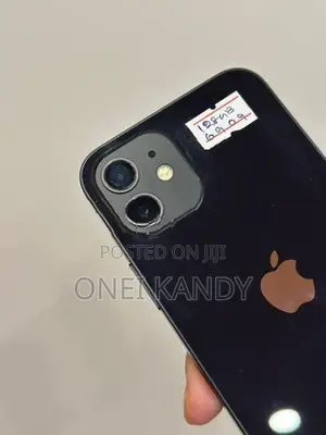 Apple iPhone 12 128GB (Used)