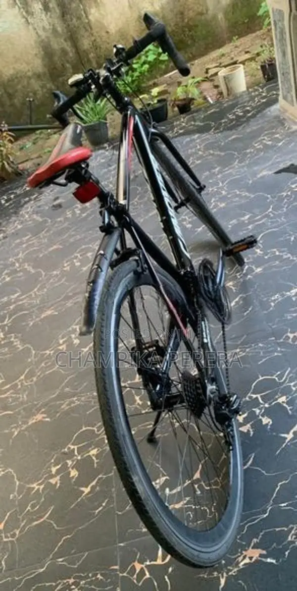 Japan bicycle