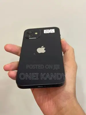 Apple iPhone 12 128GB (Used)